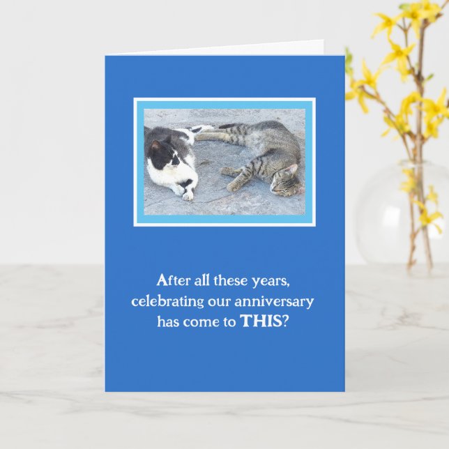 ANNIVERSARY CONTENTMENT/TWO SLEEPY CATS/ HUMOR CARD (Yellow Flower)