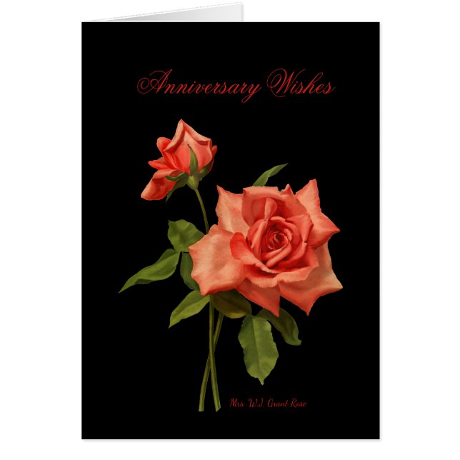 Anniversary Coral Rose Card (Front)