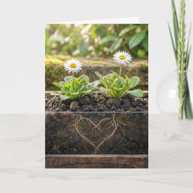 Anniversary Daisies In a Flower Box Card (Front)