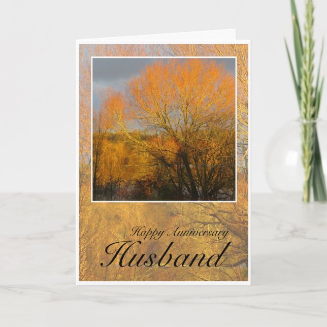 Anniversary Husband, Sunkissed Winter Trees. Card (Front)