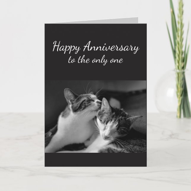 Anniversary Loved One Cat Humour Card (Front)