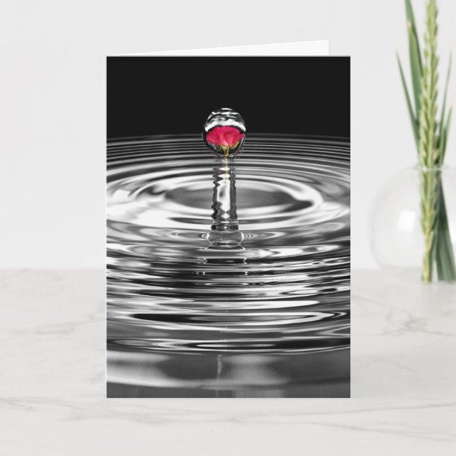 anniversary red rose in water droplet card (Front)