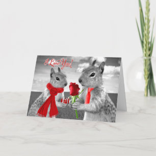 Anniversary Squirrels with Red Hearts in Love Card
