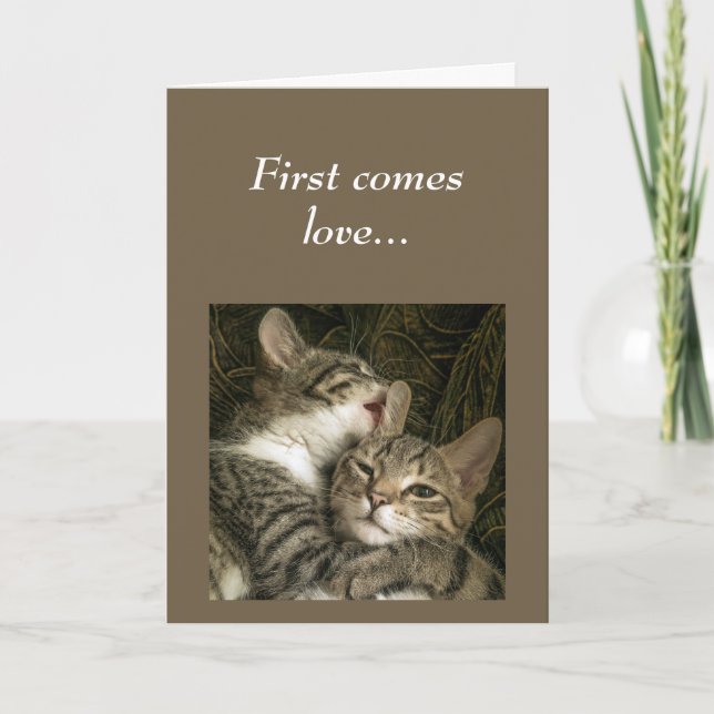  Anniversary to the ONE I LOVE Cats Humour Card (Front)