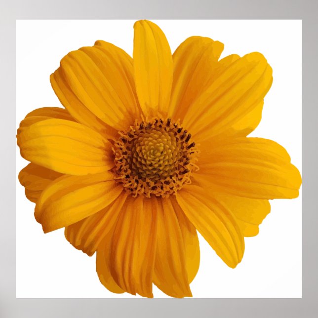 Annotation art artistic poster (Front)