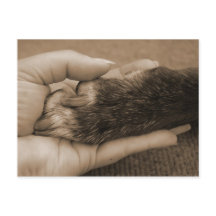 Announcement of new family member