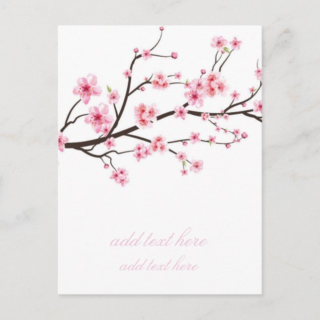 ANNOUNCEMENT POSTCARD : SAKURA BLOSSOMS (Front)