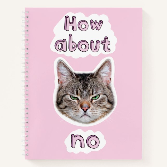 Annoyed Cat Notebook (Front)