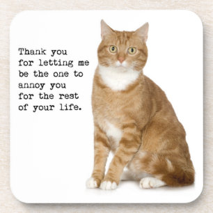 Annoying Cat Coaster