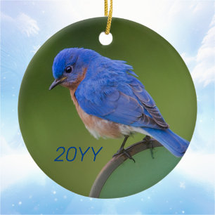 Annual Bluebird Christmas Ceramic Tree Decoration