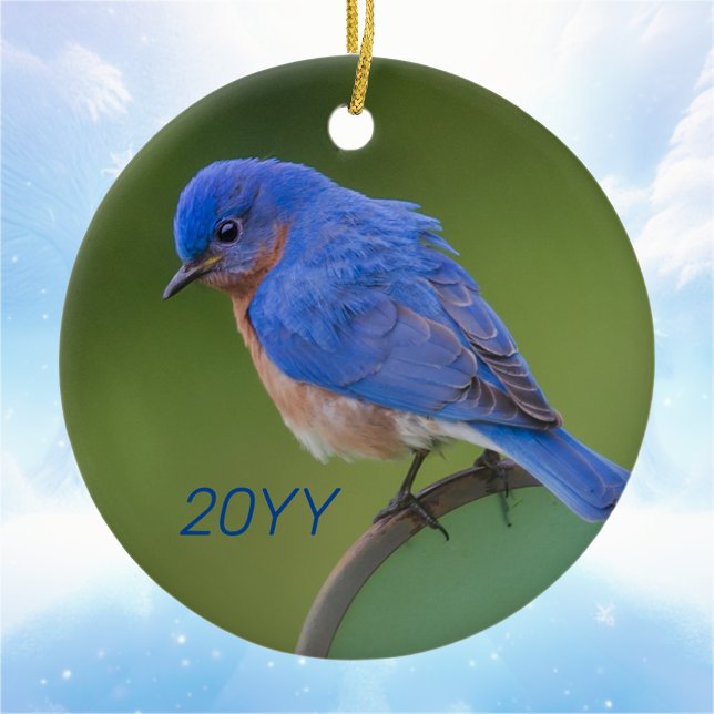 Annual Bluebird Christmas Ceramic Tree Decoration (Creator Uploaded)