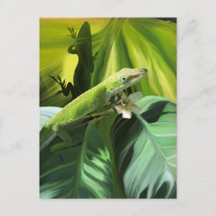 Anole Lizard Postcard