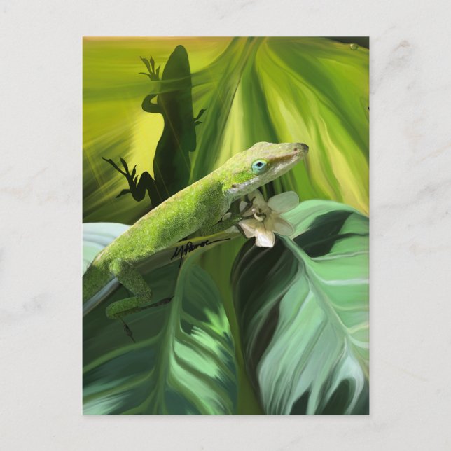 Anole Lizard Postcard (Front)