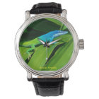 Anole Watch: Anolis allisoni