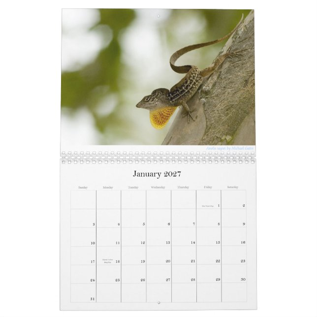Anoles 2013 Calendar (Jan 2027)