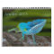 Anoles 2013 Calendar