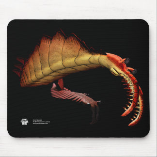 Anomalocaris Mousepad