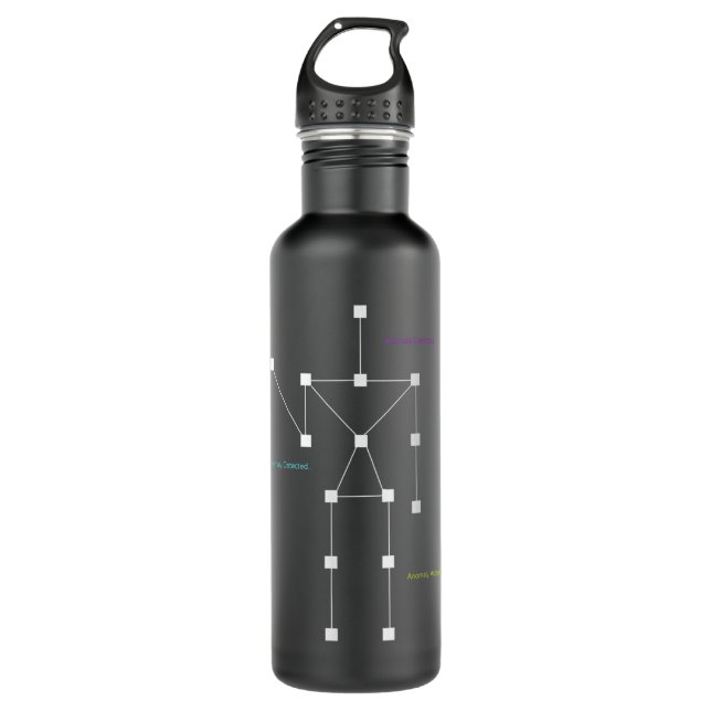 Anomaly Detected SLS Ghost Hunting - Funny Paranor 710 Ml Water Bottle (Front)