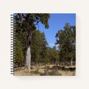 Another beautiful day.... notebook