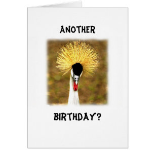 Another Birthday? Card for Senior Citizen