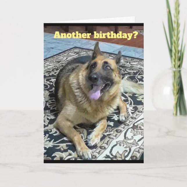 Another Birthday German Shepherd Greeting Card (Front)