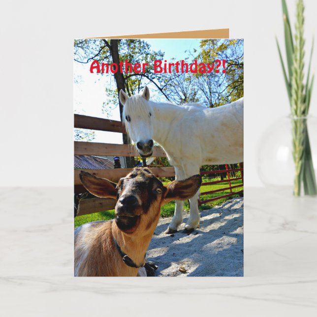 Another Birthday?! With Pony and Goat Card (Front)