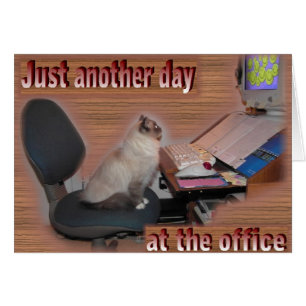 Another day at the office