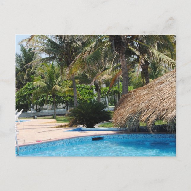 Another Day in Paradise Postcard (Front)