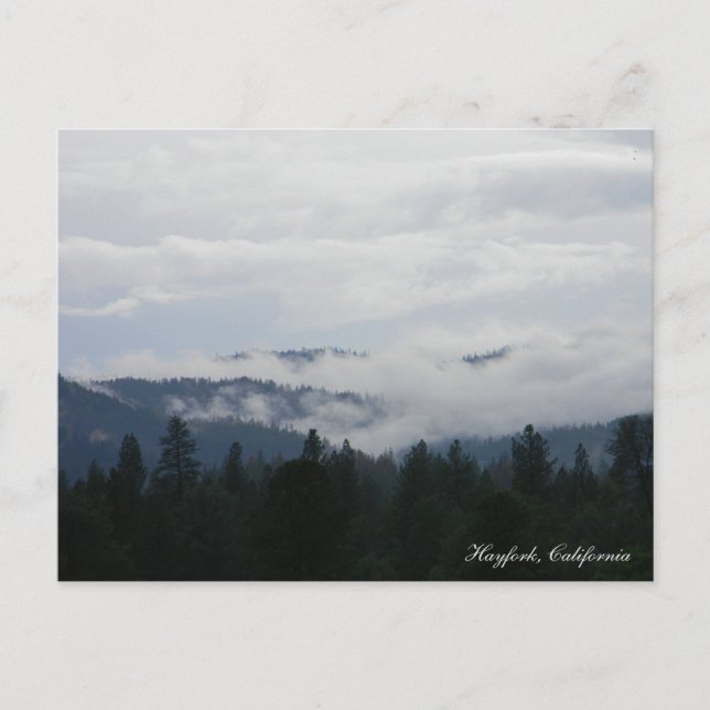 Another foggy eve... postcard (Front)