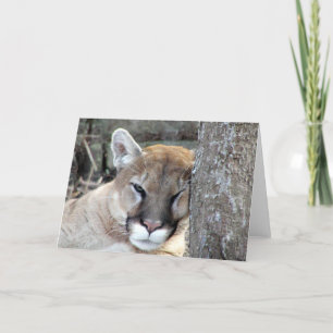 Another monday cougar card