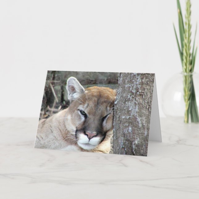 Another monday cougar card (Front)