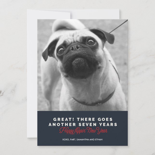 Another Seven Years Dog's New Year Greeting Holiday Card (Front)