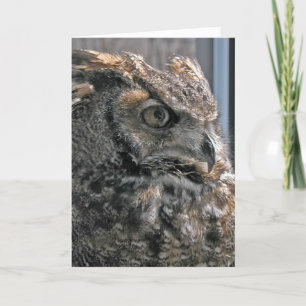 Another year wiser card