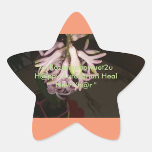 An'Rozarianbowuet2u Aurozarian Heal H@ppy New Ye@r Star Sticker