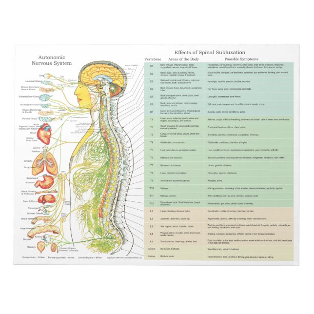 ANS Subluxation Effects Tear Off Pads (Front)