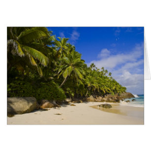 Anse Victorin Beach 3