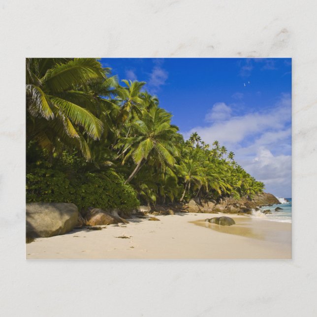 Anse Victorin Beach 3 Postcard (Front)