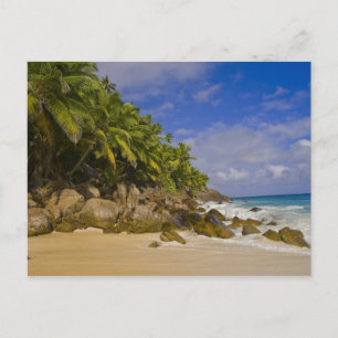 Anse Victorin Beach 4 Postcard