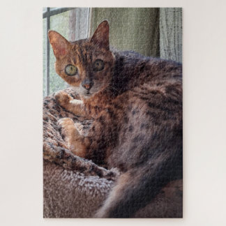 Ansel the Bengal in the Window Jigsaw Puzzle