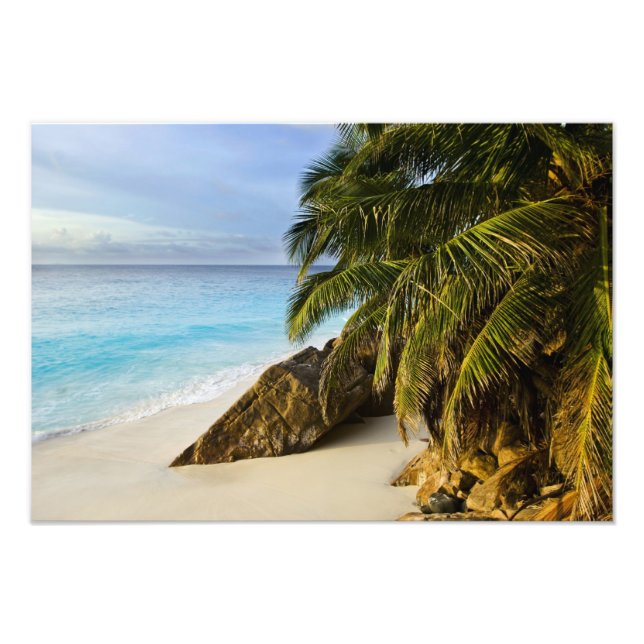 Ansi Victorin Beach Photo Print (Front)
