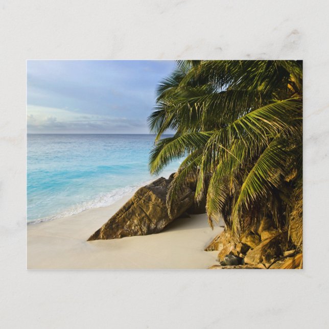 Ansi Victorin Beach Postcard (Front)