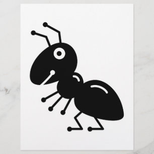 Ant
