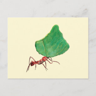 Ant Carrying a Big Leaf   Postcard