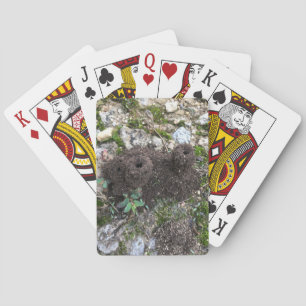 Ant Castle Playing Cards
