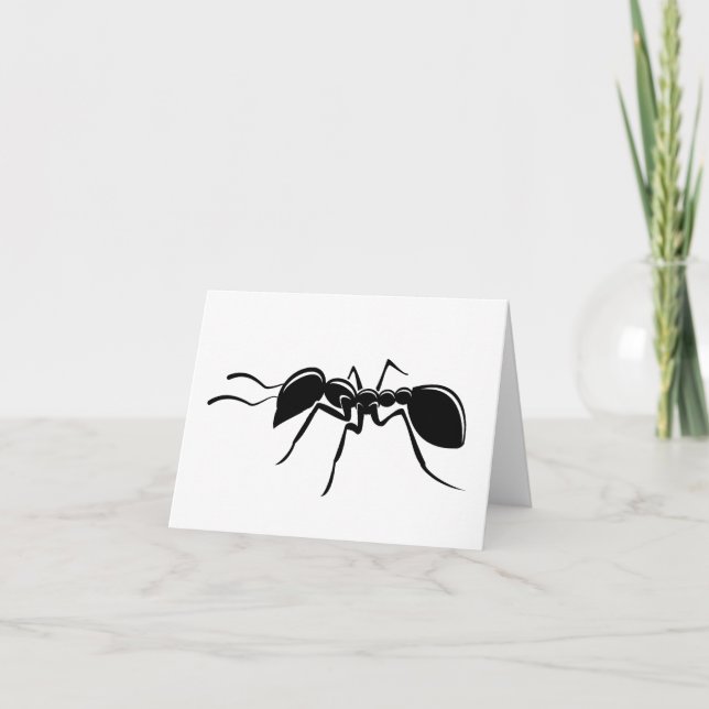 Ant drawing insect card (Front)