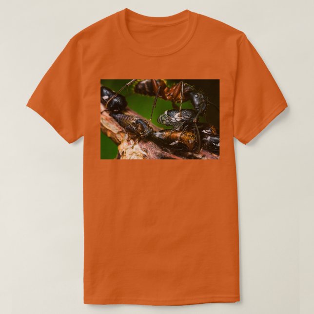 Ant Farming Treehoppers T-Shirt (Design Front)