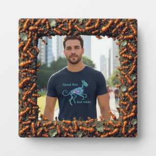ant frame
