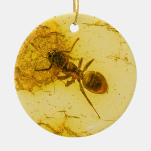 Ant inside amber ceramic tree decoration