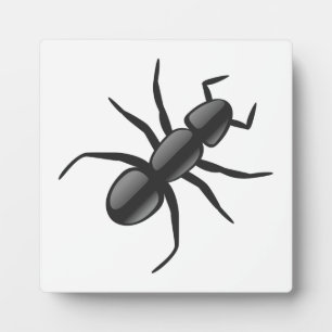 Ant Plaque