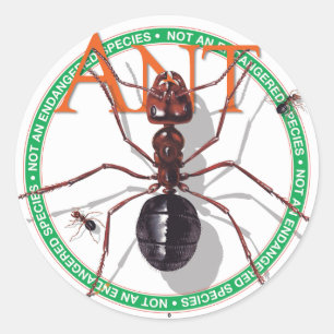 Ant Sticker